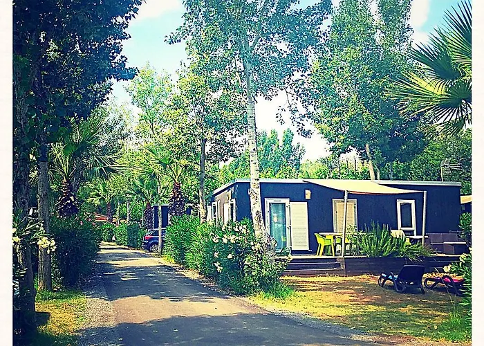 אתר קמפינג Club L'air Marin 4*
